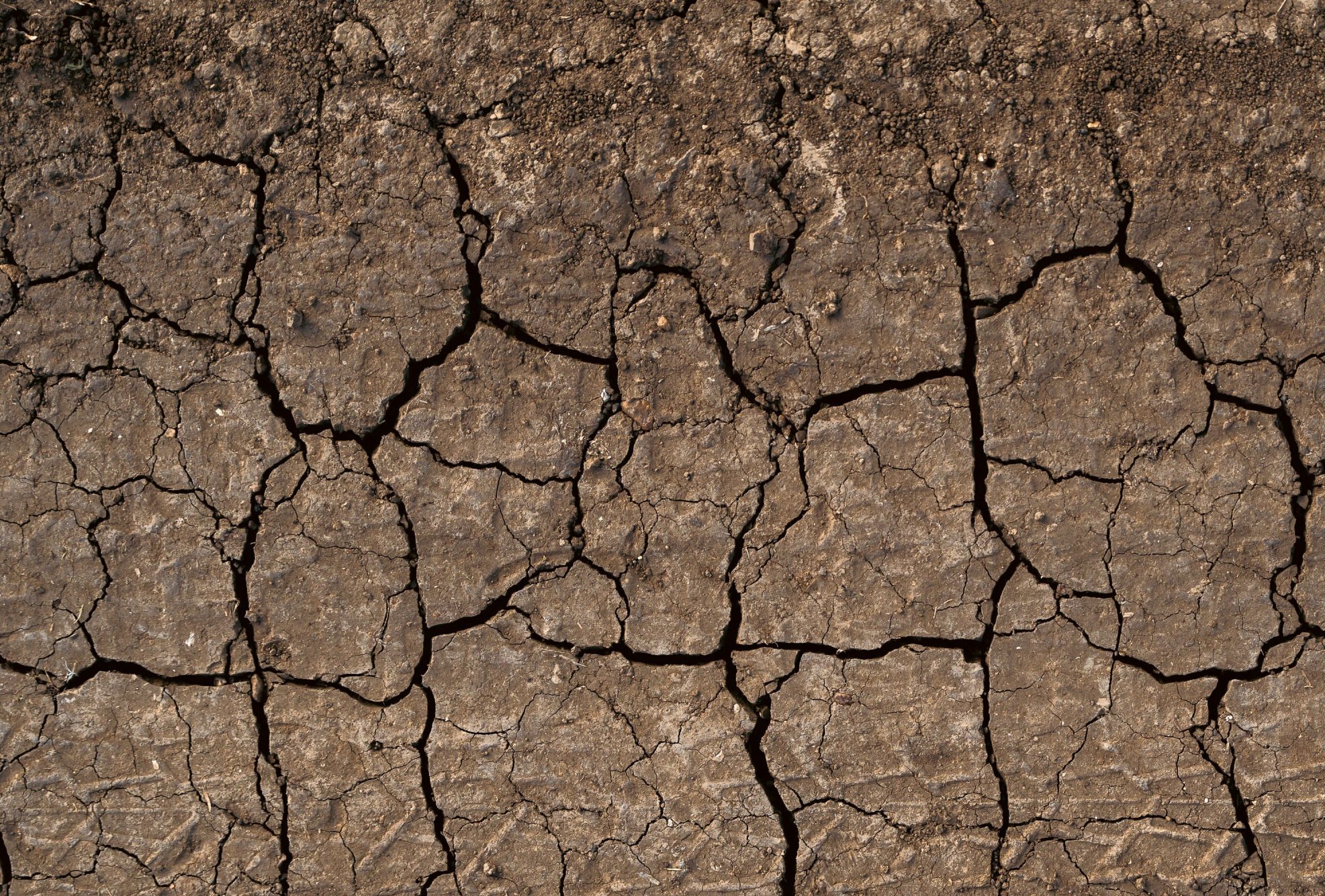 bird's-eye view of cracked ground.